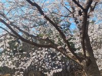 군산 은파