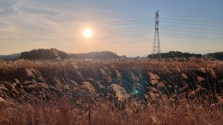 군산